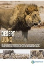 Desert Lions (2017)