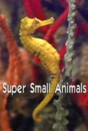 Layarkaca21 LK21 Dunia21 Nonton Film Super Small Animals (2017) Subtitle Indonesia Streaming Movie Download