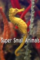 Layarkaca21 LK21 Dunia21 Nonton Film Super Small Animals (2017) Subtitle Indonesia Streaming Movie Download