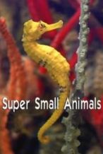 Nonton Film Super Small Animals (2017) Subtitle Indonesia Streaming Movie Download