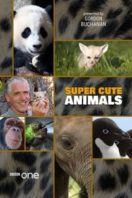 Layarkaca21 LK21 Dunia21 Nonton Film Super Cute Animals (2015) Subtitle Indonesia Streaming Movie Download