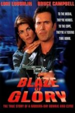 In the Line of Duty: Blaze of Glory (1997)