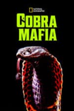 Cobra Mafia (2015)
