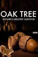 Layarkaca21 LK21 Dunia21 Nonton Film Oak Tree: Nature’s Greatest Survivor (2015) Subtitle Indonesia Streaming Movie Download