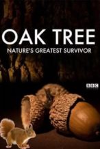 Nonton Film Oak Tree: Nature’s Greatest Survivor (2015) Subtitle Indonesia Streaming Movie Download