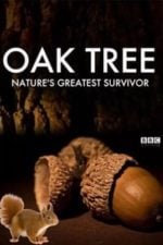 Oak Tree: Nature’s Greatest Survivor (2015)