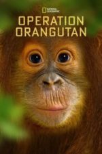 Operation Orangutan (2015)