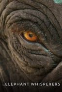 Layarkaca21 LK21 Dunia21 Nonton Film The Elephant Whisperers (2022) Subtitle Indonesia Streaming Movie Download