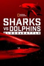 Sharks vs. Dolphins: Blood Battle (2020)