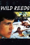 Layarkaca21 LK21 Dunia21 Nonton Film Wild Reeds (1994) Subtitle Indonesia Streaming Movie Download