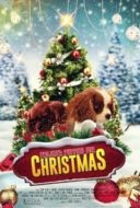 Layarkaca21 LK21 Dunia21 Nonton Film Project: Puppies for Christmas (2019) Subtitle Indonesia Streaming Movie Download