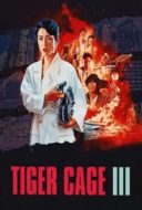 Layarkaca21 LK21 Dunia21 Nonton Film Tiger Cage 3 (1991) Subtitle Indonesia Streaming Movie Download