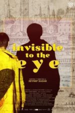 Invisible to the Eye (2020)