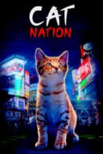 Cat Nation (2017)