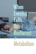 Nonton Film When Evening Falls on Bucharest or Metabolism (2013) Subtitle Indonesia Streaming Movie Download