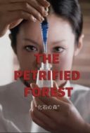 Layarkaca21 LK21 Dunia21 Nonton Film The Petrified Forest (1973) Subtitle Indonesia Streaming Movie Download