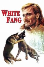 White Fang (1973)