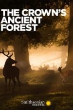 The Crown’s Ancient Forest (2021)