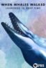 Layarkaca21 LK21 Dunia21 Nonton Film When Whales Walked: Journeys in Deep Time (2019) Subtitle Indonesia Streaming Movie Download