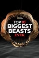 Layarkaca21 LK21 Dunia21 Nonton Film Top 10 Biggest Beasts Ever (2015) Subtitle Indonesia Streaming Movie Download