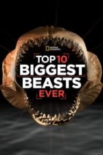 Top 10 Biggest Beasts Ever (2015)