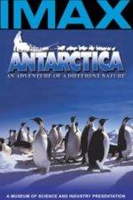 Antarctica: An Adventure of a Different Nature (1991)