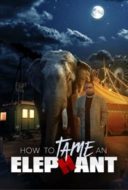 Layarkaca21 LK21 Dunia21 Nonton Film How To Tame An Elephant (2023) Subtitle Indonesia Streaming Movie Download