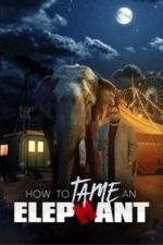 How To Tame An Elephant (2023)