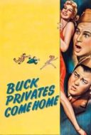 Layarkaca21 LK21 Dunia21 Nonton Film Buck Privates Come Home (1947) Subtitle Indonesia Streaming Movie Download