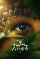 Layarkaca21 LK21 Dunia21 Nonton Film The Animal Kingdom (2023) Subtitle Indonesia Streaming Movie Download