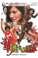 Layarkaca21 LK21 Dunia21 Nonton Film The Great Chase (1975) Subtitle Indonesia Streaming Movie Download