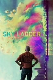 Layarkaca21 LK21 Dunia21 Nonton Film Sky Ladder: The Art of Cai Guo-Qiang (2017) Subtitle Indonesia Streaming Movie Download