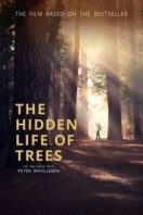 Layarkaca21 LK21 Dunia21 Nonton Film The Hidden Life of Trees (2020) Subtitle Indonesia Streaming Movie Download