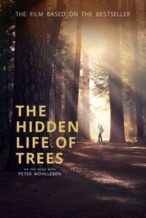 Nonton Film The Hidden Life of Trees (2020) Subtitle Indonesia Streaming Movie Download