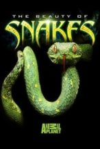 Nonton Film The Beauty of Snakes (2003) Subtitle Indonesia Streaming Movie Download