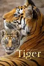 Nonton Film Tiger (2024) Subtitle Indonesia Streaming Movie Download