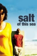Layarkaca21 LK21 Dunia21 Nonton Film Salt of This Sea (2008) Subtitle Indonesia Streaming Movie Download
