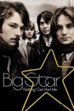 Big Star: Nothing Can Hurt Me (2013)