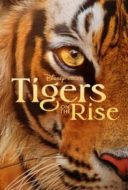 Layarkaca21 LK21 Dunia21 Nonton Film Tigers on the Rise (2024) Subtitle Indonesia Streaming Movie Download