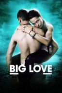 Layarkaca21 LK21 Dunia21 Nonton Film Big Love (2012) Subtitle Indonesia Streaming Movie Download