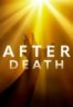 Layarkaca21 LK21 Dunia21 Nonton Film After Death (2023) Subtitle Indonesia Streaming Movie Download