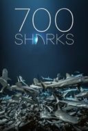 Layarkaca21 LK21 Dunia21 Nonton Film 700 Sharks (2018) Subtitle Indonesia Streaming Movie Download