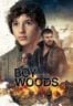 Layarkaca21 LK21 Dunia21 Nonton Film The Boy in the Woods (2023) Subtitle Indonesia Streaming Movie Download